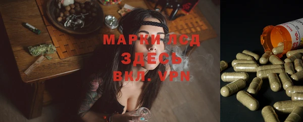 тгк Белокуриха