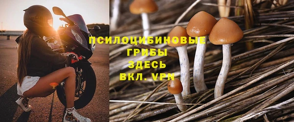 стафф Беломорск