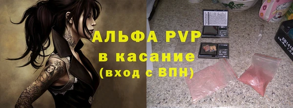 тгк Белокуриха