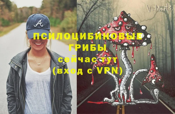 стафф Беломорск