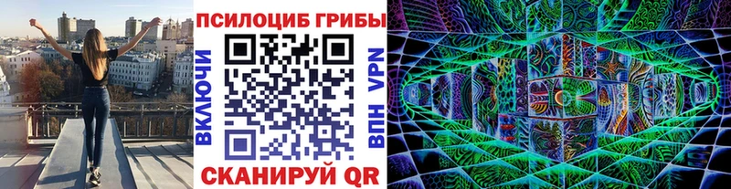 где можно купить   Ворсма  hydra ссылка  Псилоцибиновые грибы MAGIC MUSHROOMS 